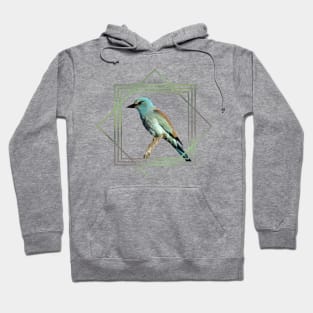 European Roller - Bird in Africa - Ornitholgy Hoodie